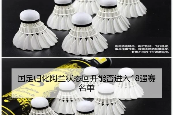 国足归化阿兰状态回升能否进入18强赛名单