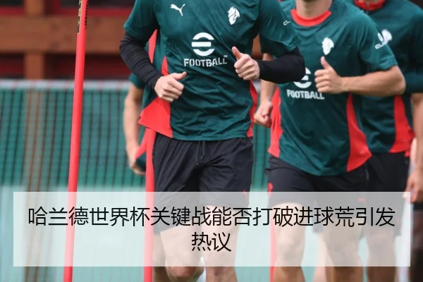 哈兰德世界杯关键战能否打破进球荒引发热议